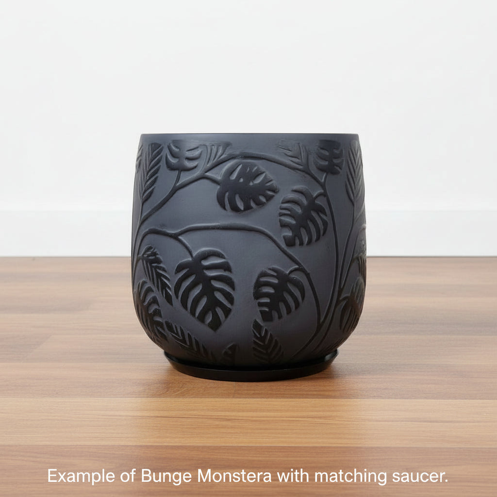 Stylish Bunge Monstera Fibreglass Pot Dark Grey with Black Leaves