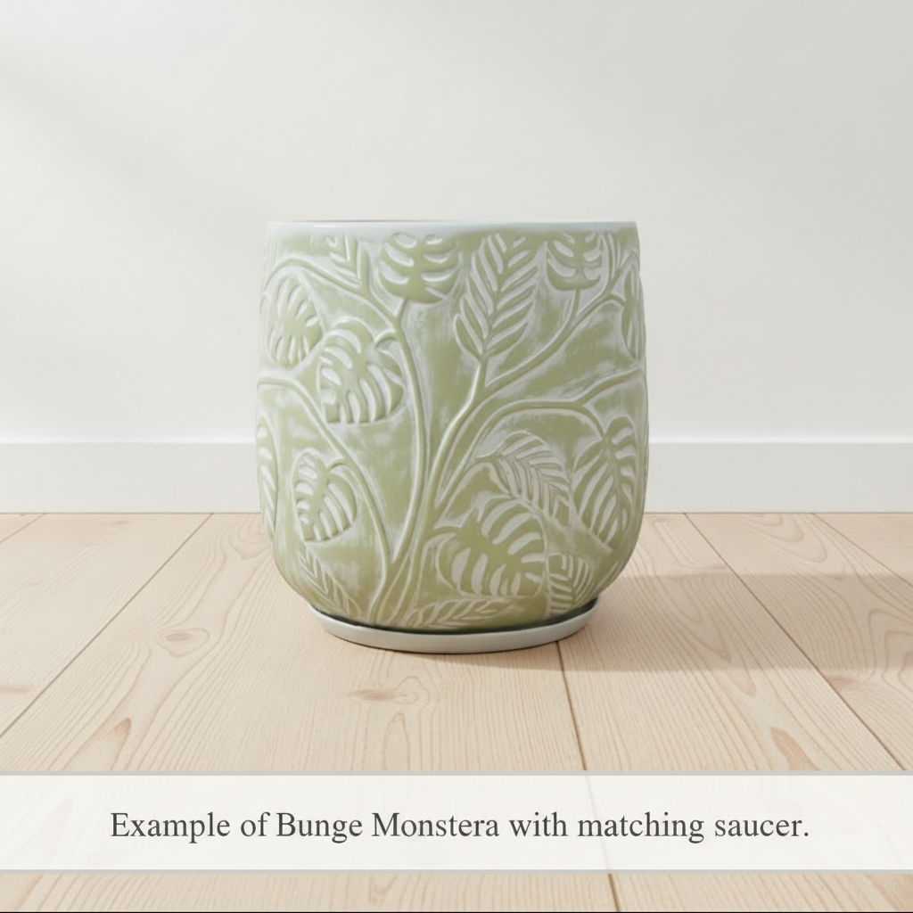 Stylish Bunge Monstera Fibreglass Pot White with Green Leaves