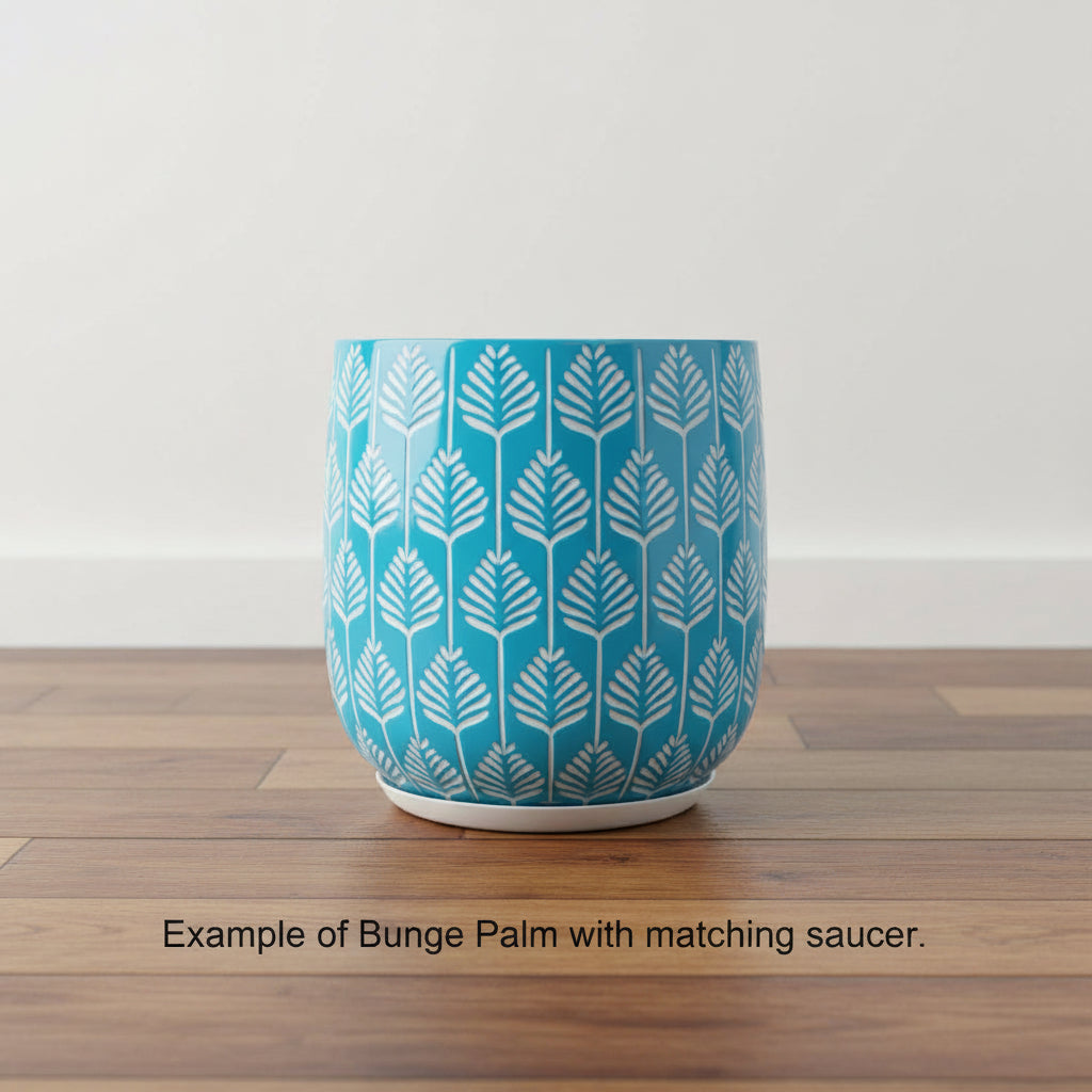Bunge Palm Leaf Fibreglass Pot White on Baby Blue