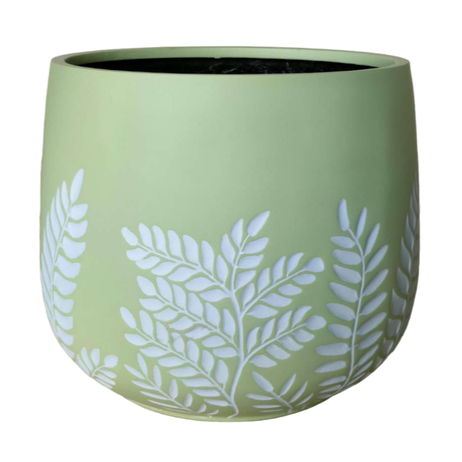 Bunge Fern Fibrelgass Pot White on Sage