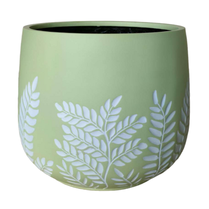 Bunge Fern Fibrelgass Pot White on Sage