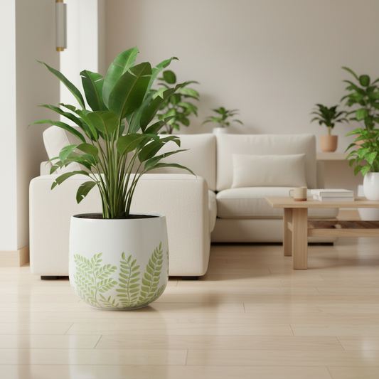 Bunge Fern Fibrelgass Pot Sage on White