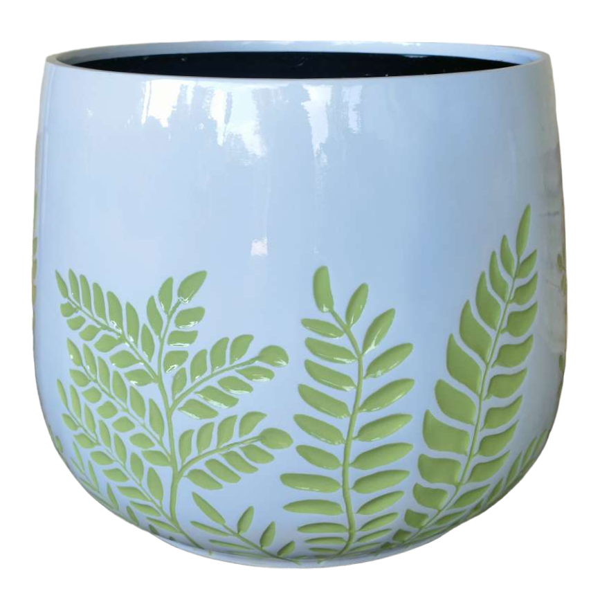 Bunge Fern Fibrelgass Pot Sage on White