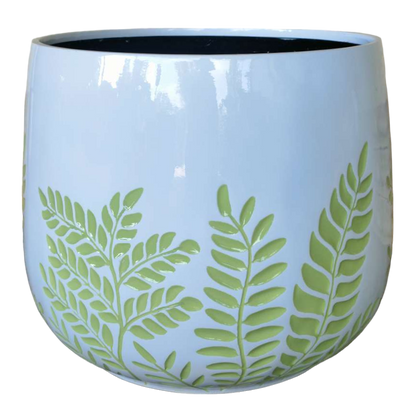 Bunge Fern Fibrelgass Pot Sage on White
