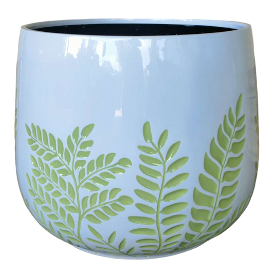 Bunge Fern Fibrelgass Pot Sage on White