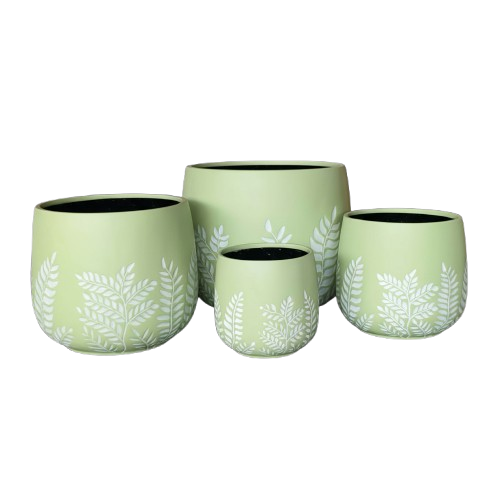 Bunge Fern Fibrelgass Pot White on Sage