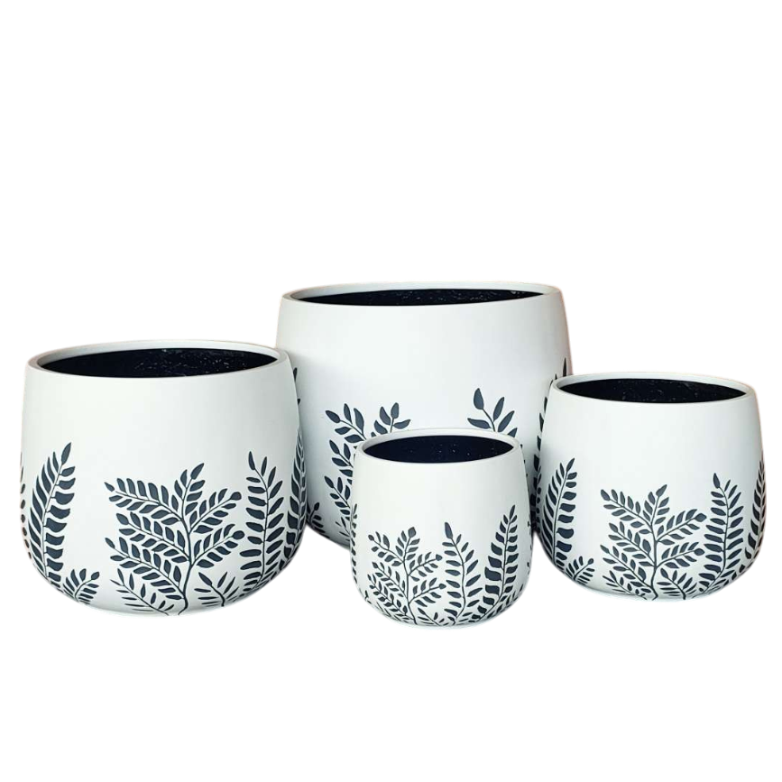 Bunge Fern Fibrelgass Pot Dark Grey on White