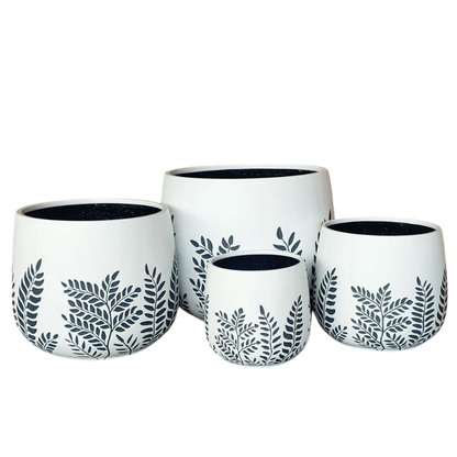 Bunge Fern Fibrelgass Pot Dark Grey on White