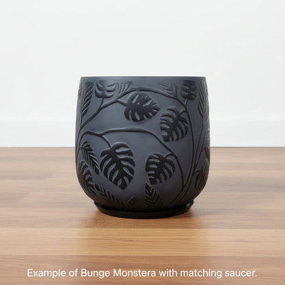 Stylish Bunge Monstera Fibreglass Pot Dark Grey with Black Leaves