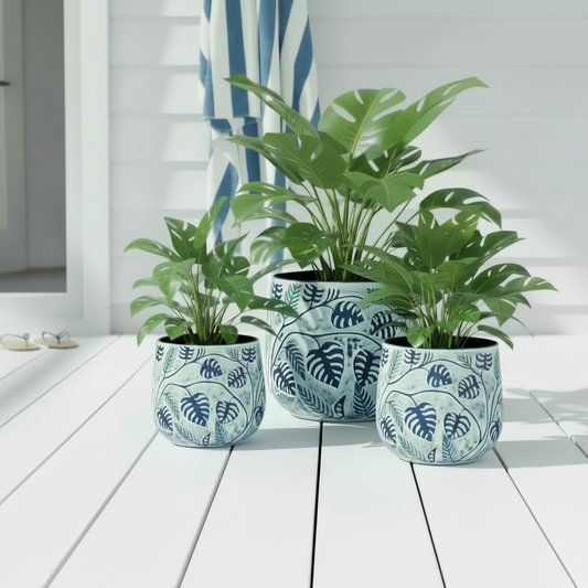 Bunge Monstera Trio Small