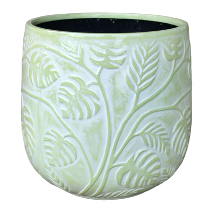 Stylish Bunge Monstera Fibreglass Pot White with Green Leaves