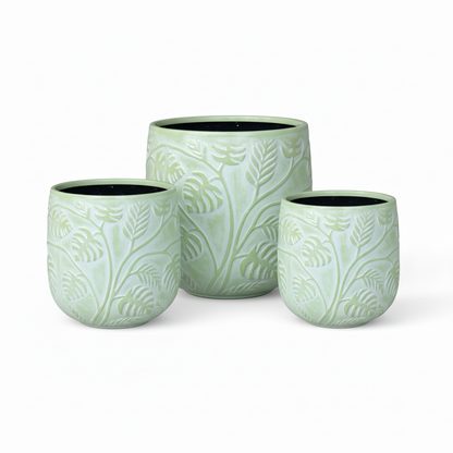 Stylish Bunge Monstera Fibreglass Pot White with Green Leaves