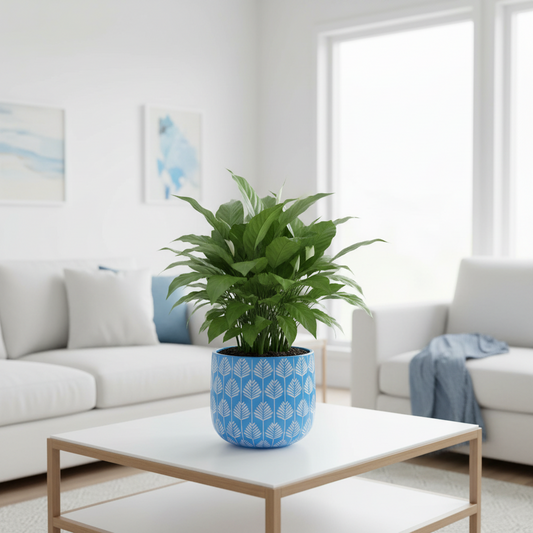 Bunge Palm Leaf Fibreglass Pot White on Baby Blue
