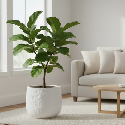 Bunge Palm Leaf Fibreglass Pot White