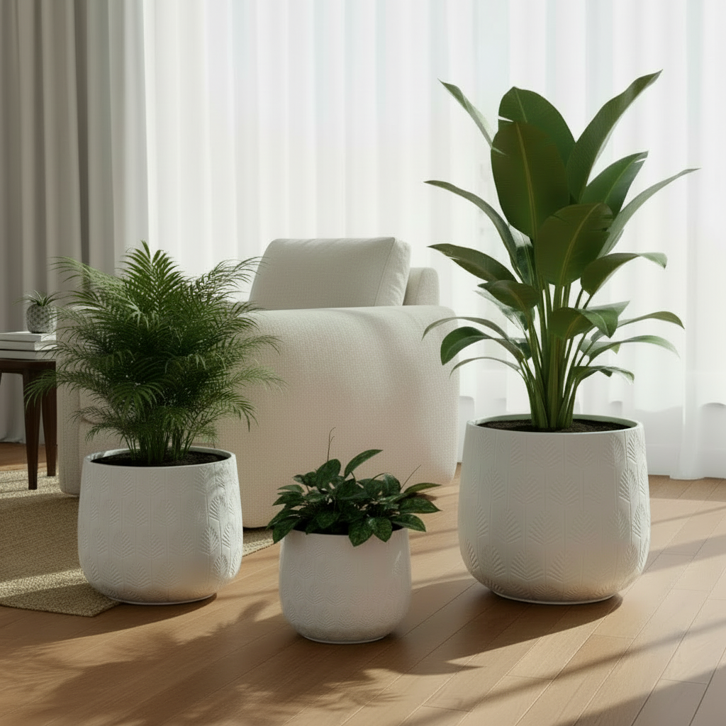 Bunge Palm Trio Large