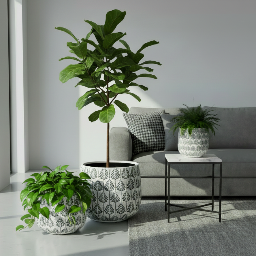 Bunge Palm Trio Small