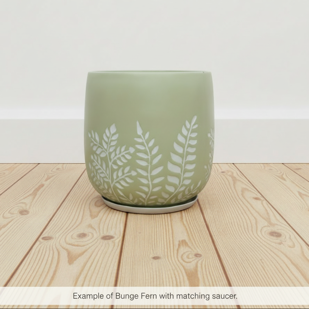 Bunge Fern Fibrelgass Pot White on Sage