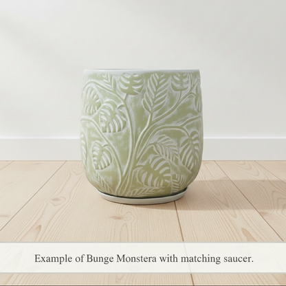 Stylish Bunge Monstera Fibreglass Pot White with Green Leaves