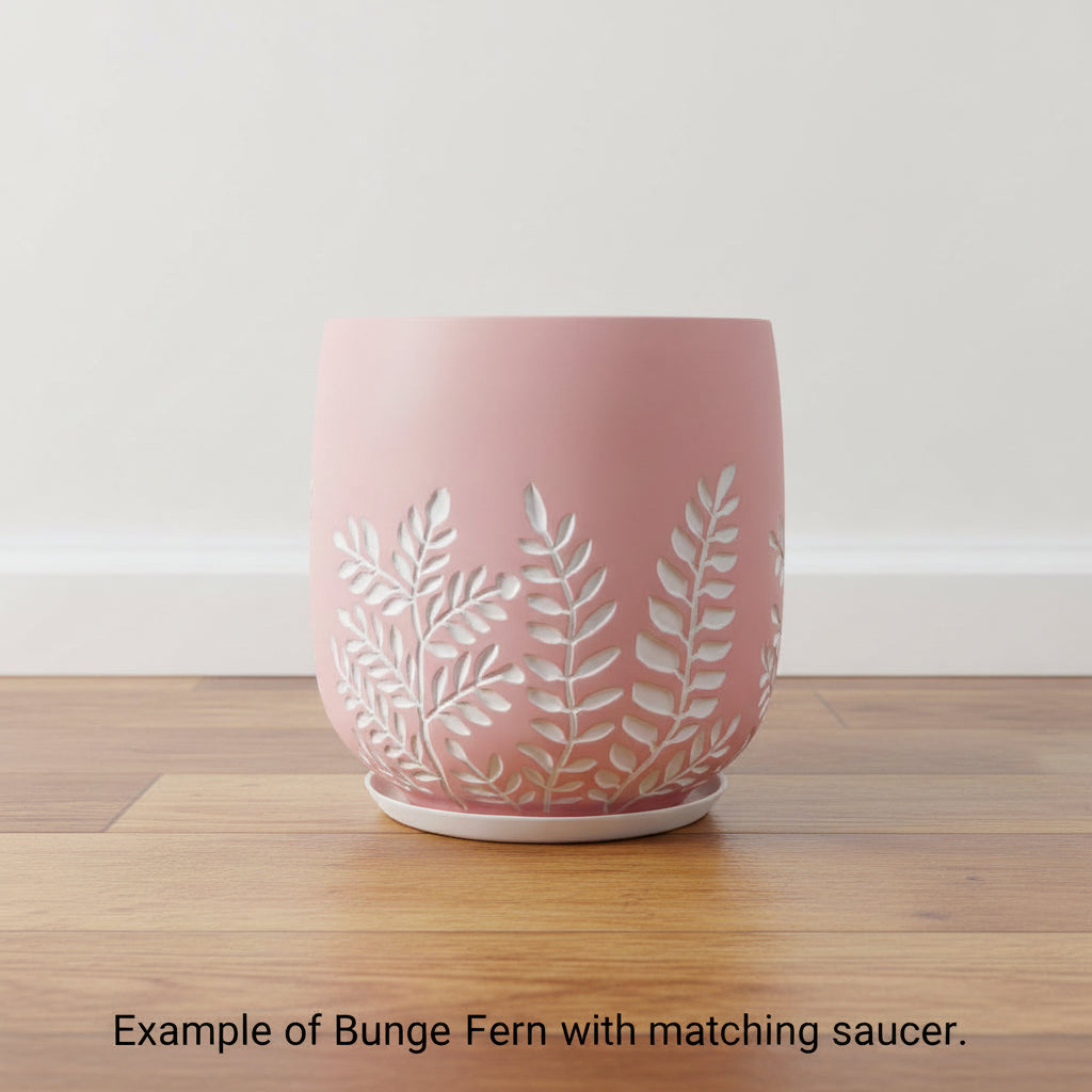 Bunge Fern Fibrelgass Pot White on Dusty Pink