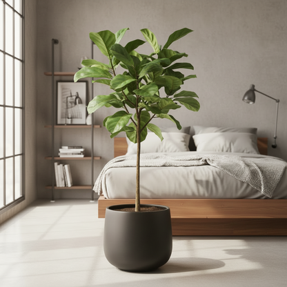 Bunge Fibreglass Matte Black