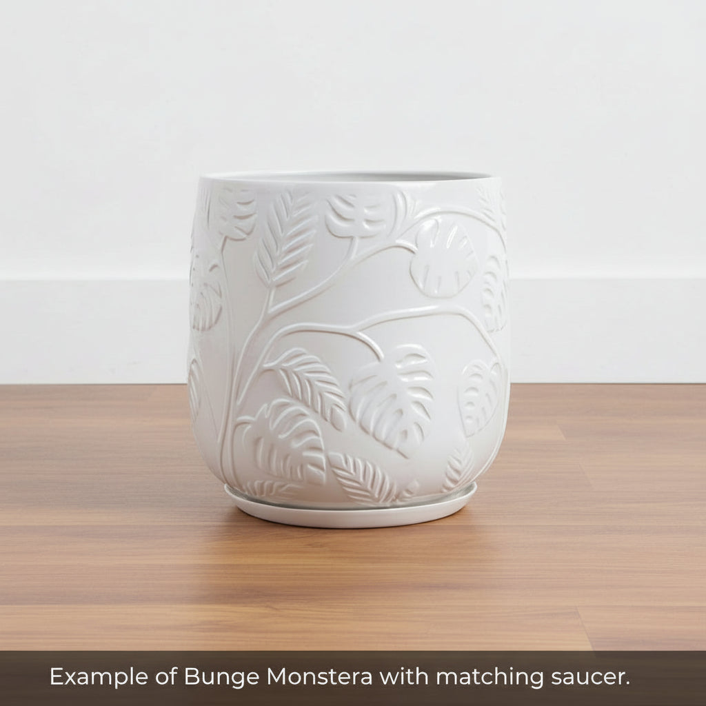 Stylish Bunge Monstera Fibreglass Pot Gloss White