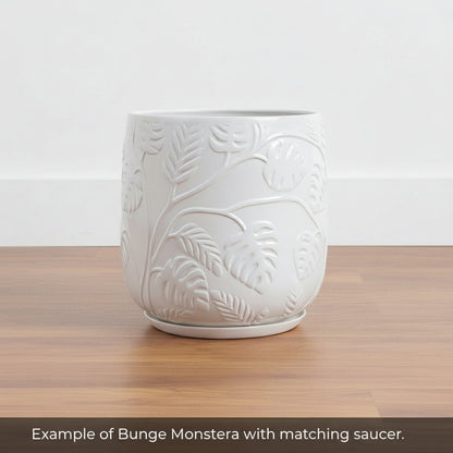 Stylish Bunge Monstera Fibreglass Pot Gloss White