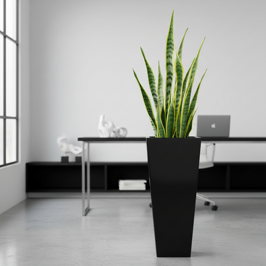 Camilla Jumbo Fibreglass Matte Black
