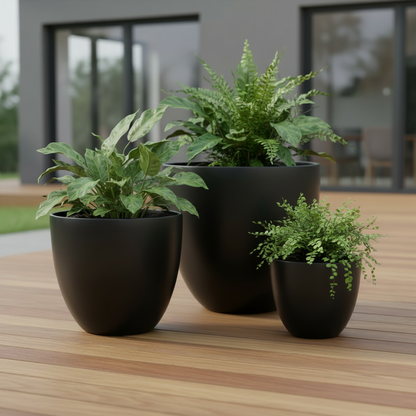 Egg Pot Trio Large