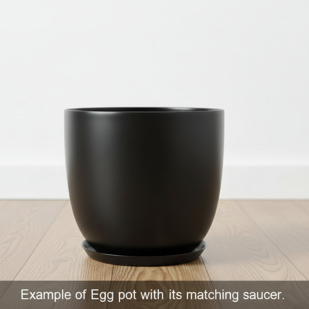 Egg Fibreglass Pot Matte Black