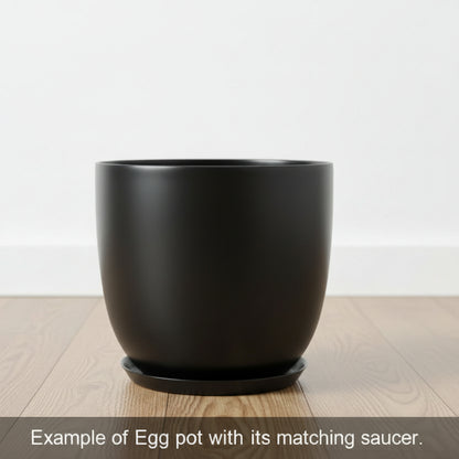 Egg Fibreglass Pot Matte Black
