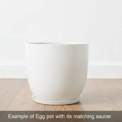 Egg Fibreglass Pot Matte White