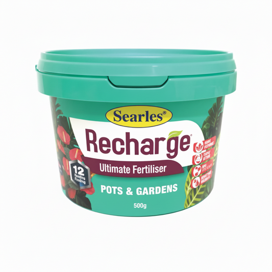 Recharge Fertiliser 500g