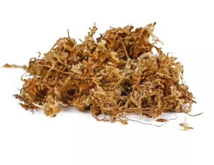 Sphagnum Moss 150g