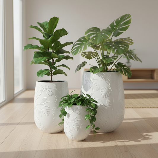 Tall Vase Monstera Pot Trio