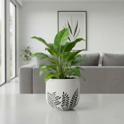 Bunge Fern Fibrelgass Pot Dark Grey on White