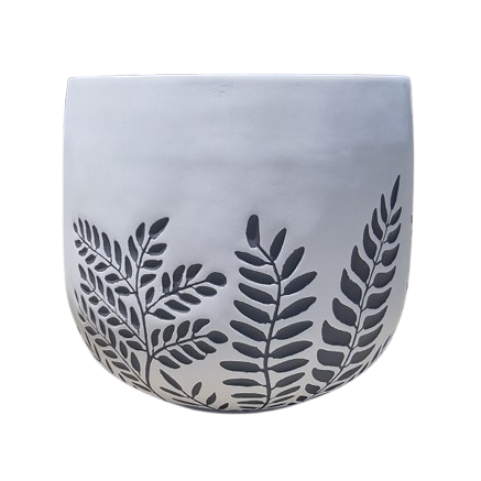 Bunge Fern Fibrelgass Pot Dark Grey on White