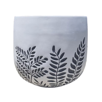 Bunge Fern Fibrelgass Pot Dark Grey on White