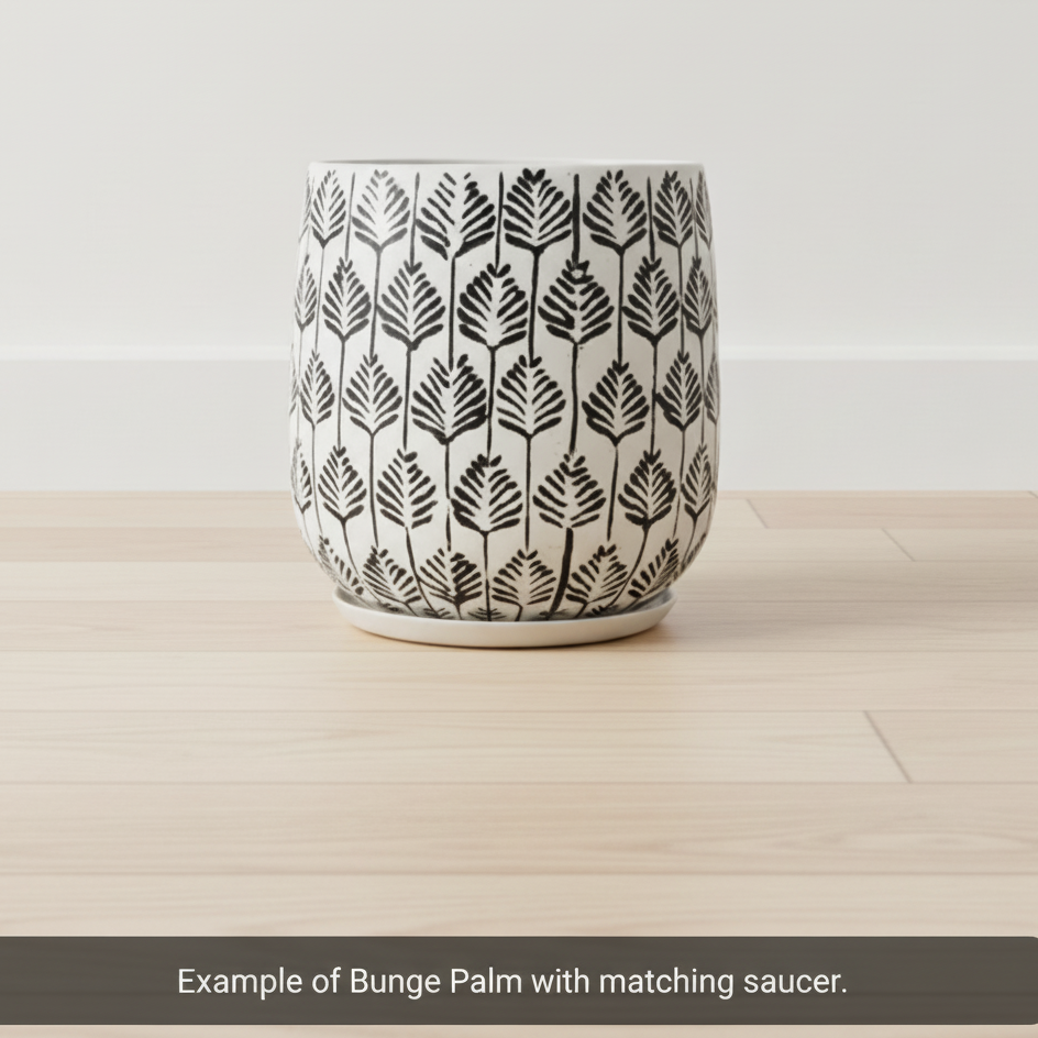 Bunge Palm Leaf Fibreglass Pot Dark Grey on White
