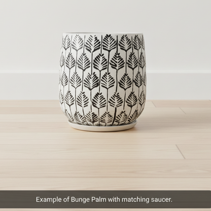 Bunge Palm Leaf Fibreglass Pot Dark Grey on White