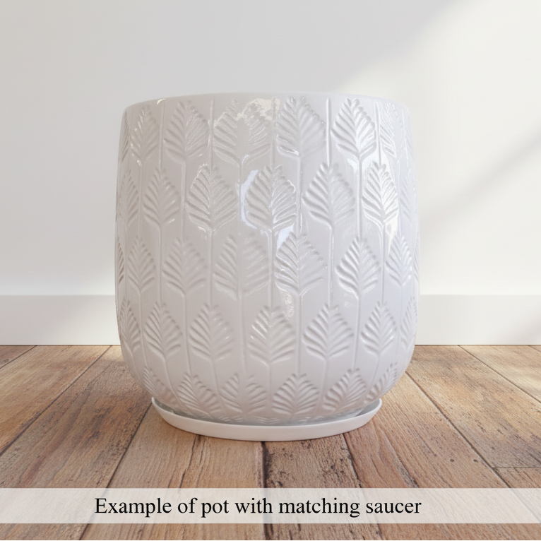 Bunge Palm Leaf Fibreglass Pot White