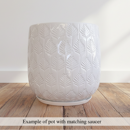 Bunge Palm Leaf Fibreglass Pot White