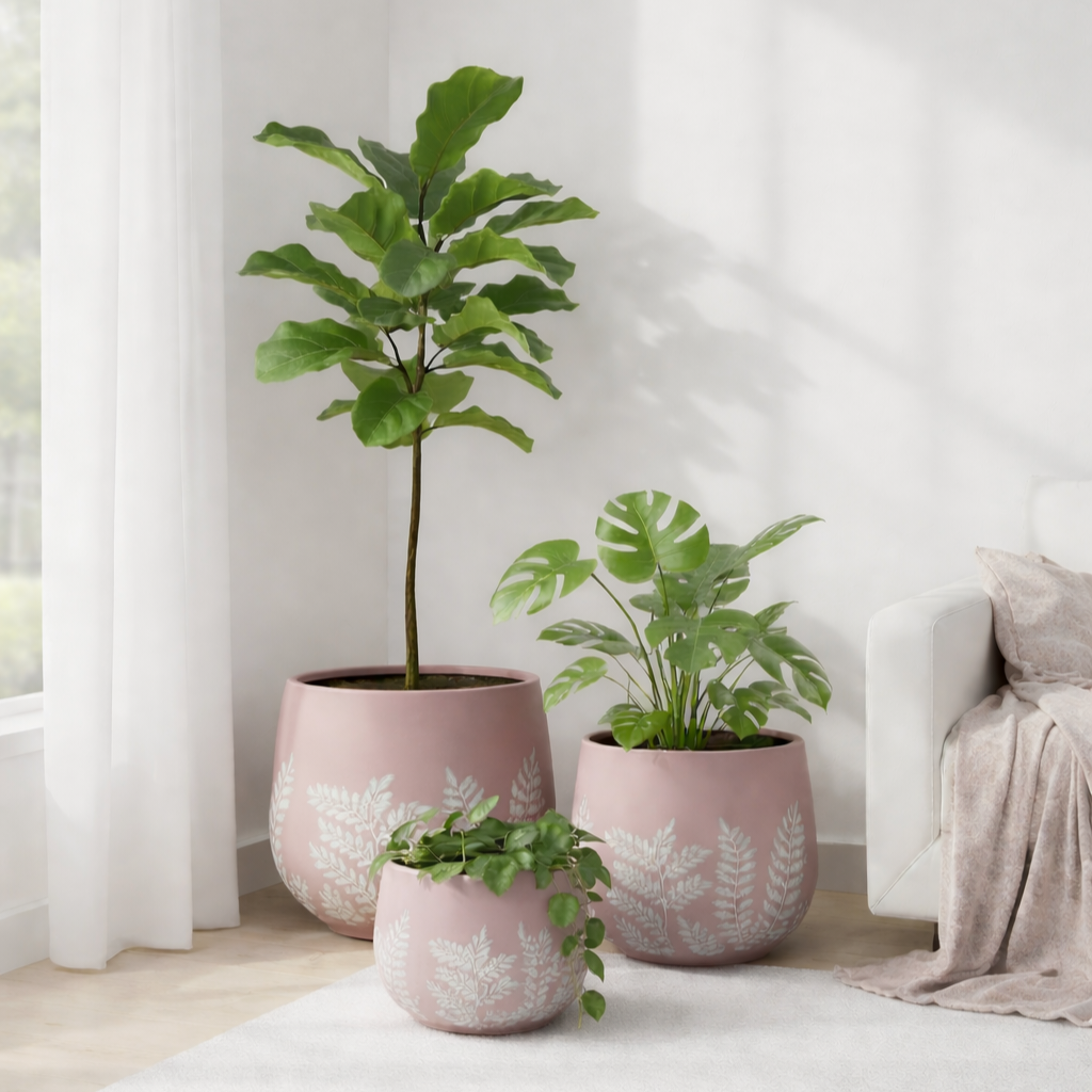 Bunge Fern Trio Large