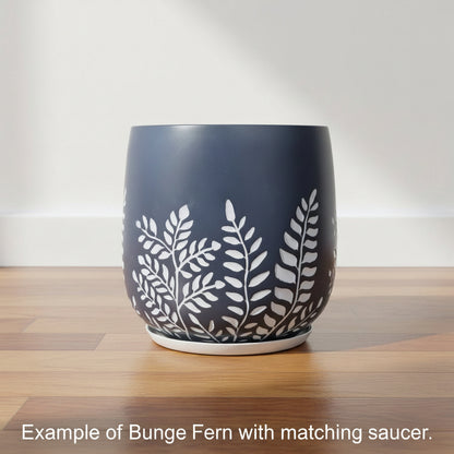 Bunge Fern Fibrelgass Pot White on Dark Grey