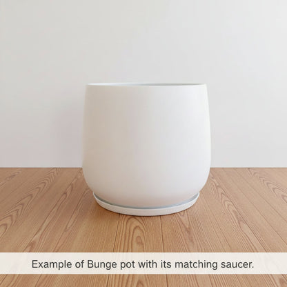 Bunge Fibreglass Matte White