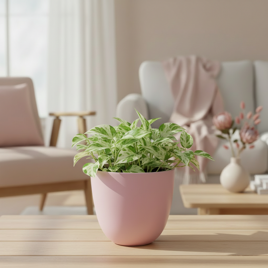Egg Fibreglass Pot Dusty Pink
