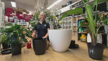 Pot inners for Egg white fibreglass pot