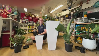 Pot inners for Camilla Jumbo fibreglass pot Trio