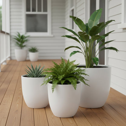 Egg Pot Trio Large